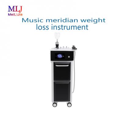 Music meridian weight loss instrument