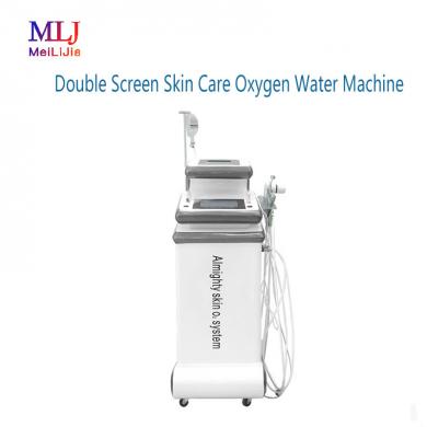 Double Screen Skin Care Oxygen Water Machine