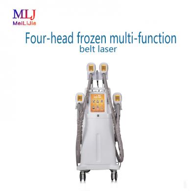 Four-head frozen multi-function belt laser