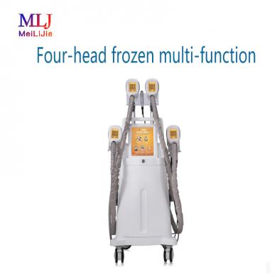 Four-head frozen multi-function