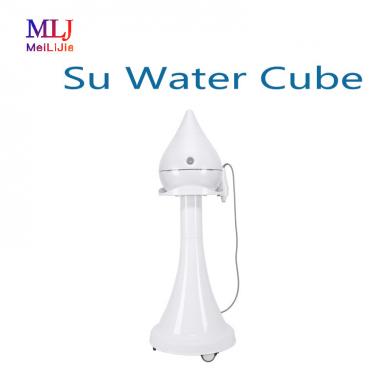 Su Water Cube