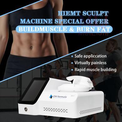 Portable One Handle Tesla RF EMSlim Body Sculpture Machine